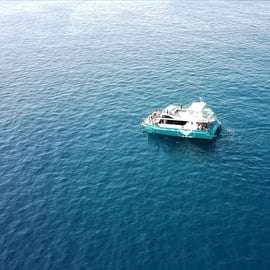 Setúbal: Delfinbeobachtungstour
