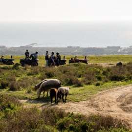 Von Lissabon aus: Costa da Caparica Geführte Quad-Tour