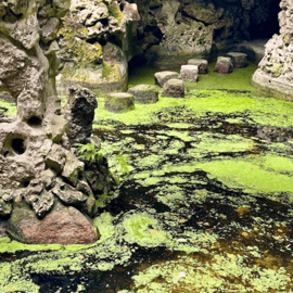 Sintra: Quinta da Regaleira Eintrittskarten mit Gastgeber