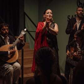 Lissabon: Fado-Show mit Wein der Quinta do Gradil in Baixa-Chiado