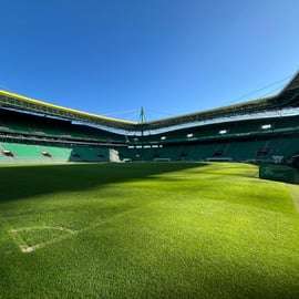 Sporting Clube de Portugal: Besuch des Stadions