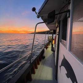 Cascais: Sonnenuntergangsfahrt nach Lissabon mit offener Bar