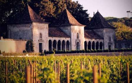 Von Lissabon aus: Serra da Arrábida, Sesimbra und Weine aus Setúbal