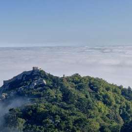 Lissabon: Halbtagestour durch Sintra mit Pena Palace und Regaleira
