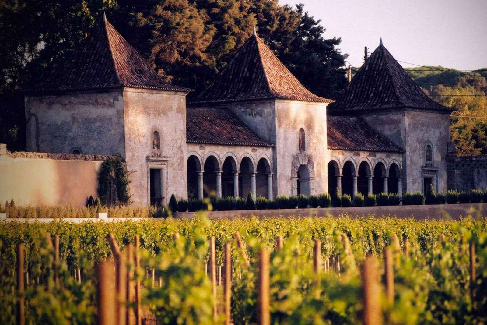 Von Lissabon aus: Serra da Arrábida, Sesimbra und Weine aus Setúbal