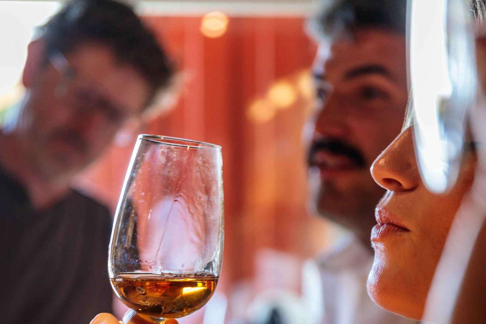Lissabon: Tour durch die Weinberge von Carcavelos und Weinverkostung