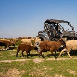 Buggy-Abenteuer in Lissabon: Verborgene Pfade, Klippen & Küste