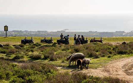 Von Lissabon aus: Costa da Caparica Geführte Quad-Tour