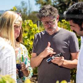 Lissabon: Tour durch die Weinberge von Carcavelos und Weinverkostung
