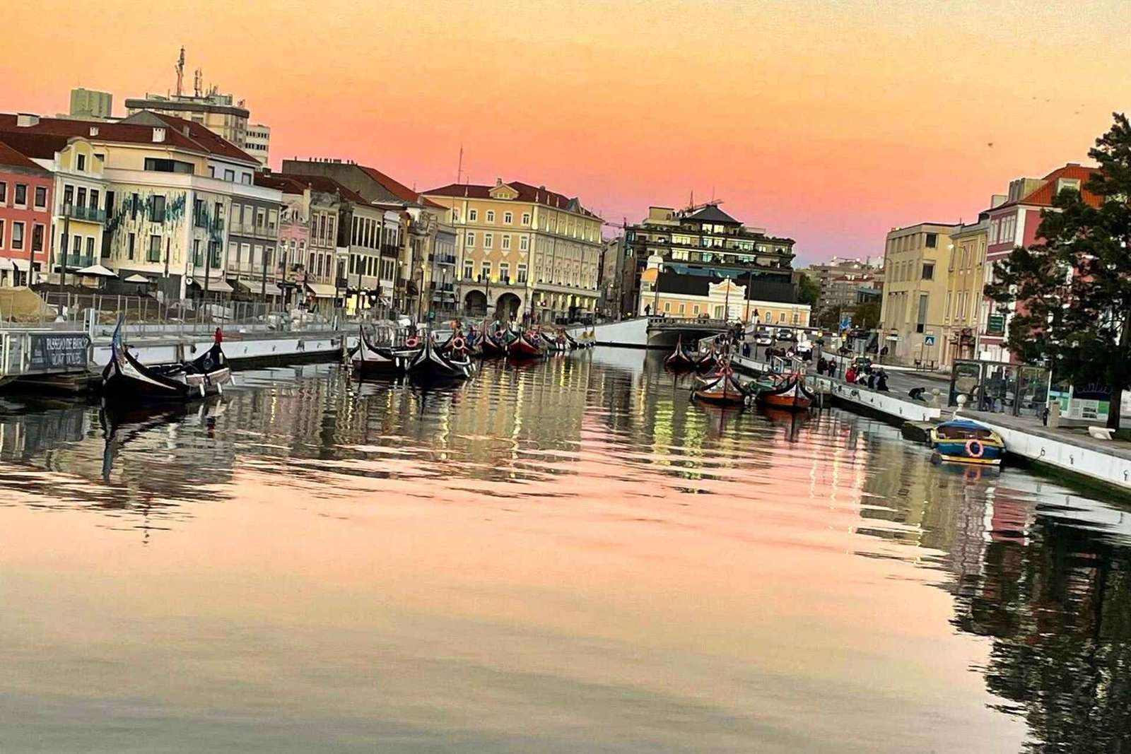 Lissabon: Privé Transfer naar Porto met stops tot 3 steden