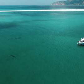 Setúbal: Delfinbeobachtungstour