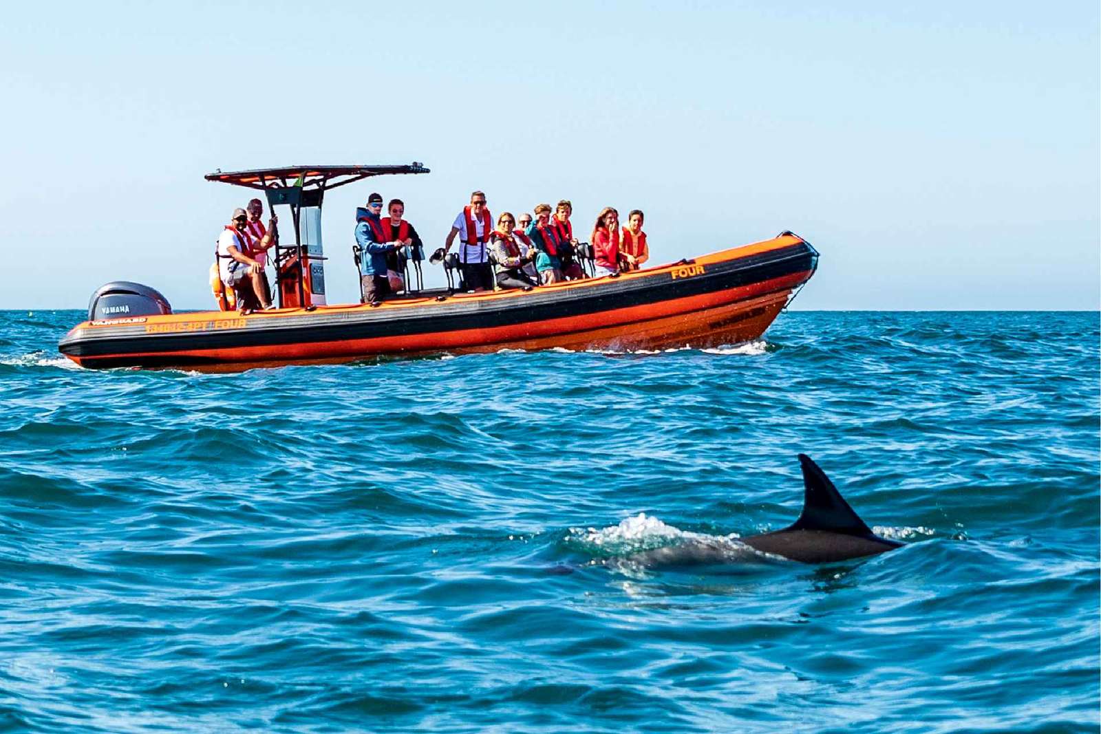 Cascais: Dolfijnen kijken