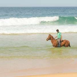 Från Lissabon: Ridning på Comportas strand