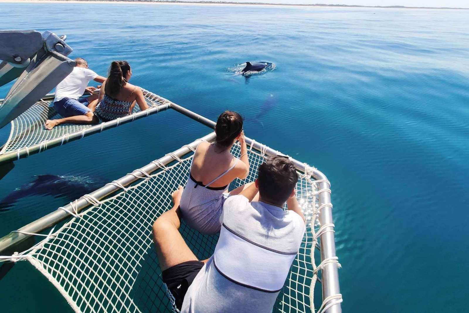 Setúbal: Delfinbeobachtungstour