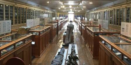 Geological Museum (Museu Geológico)