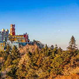 Sintra: Pena Palace and Park Entree Ticket