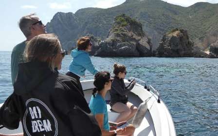 Sesimbra: Arrábida Strände & Höhlen Bootstour mit Schnorcheln