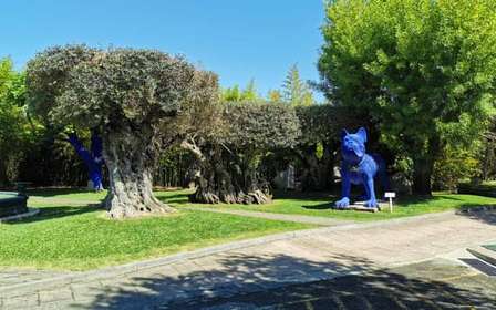 Lissabon - Weinverkostung Setubal, zwei Kellereien, Halbtagestour