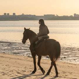 Paardrijden op het strand bij zonsondergang