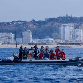 Lissabon: Båtutflykt med delfinskådning