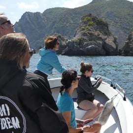 Sesimbra: Arrábida Strände & Höhlen Bootstour mit Schnorcheln