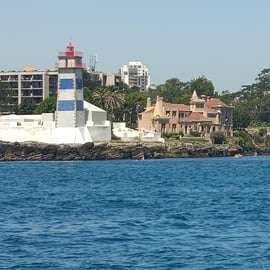 Geheimen van de kust van Cascais: 90 minuten durende cruise met gratis drankjes