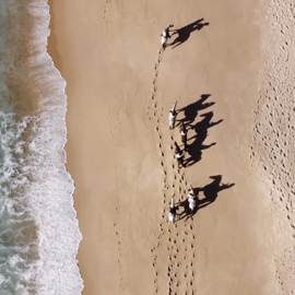 Från Lissabon: Ridning på Comportas strand