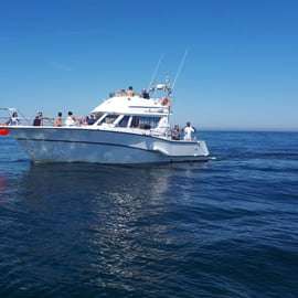 Diepzeevisreis naar Cascais