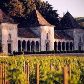 Von Lissabon aus: Serra da Arrábida, Sesimbra und Weine aus Setúbal