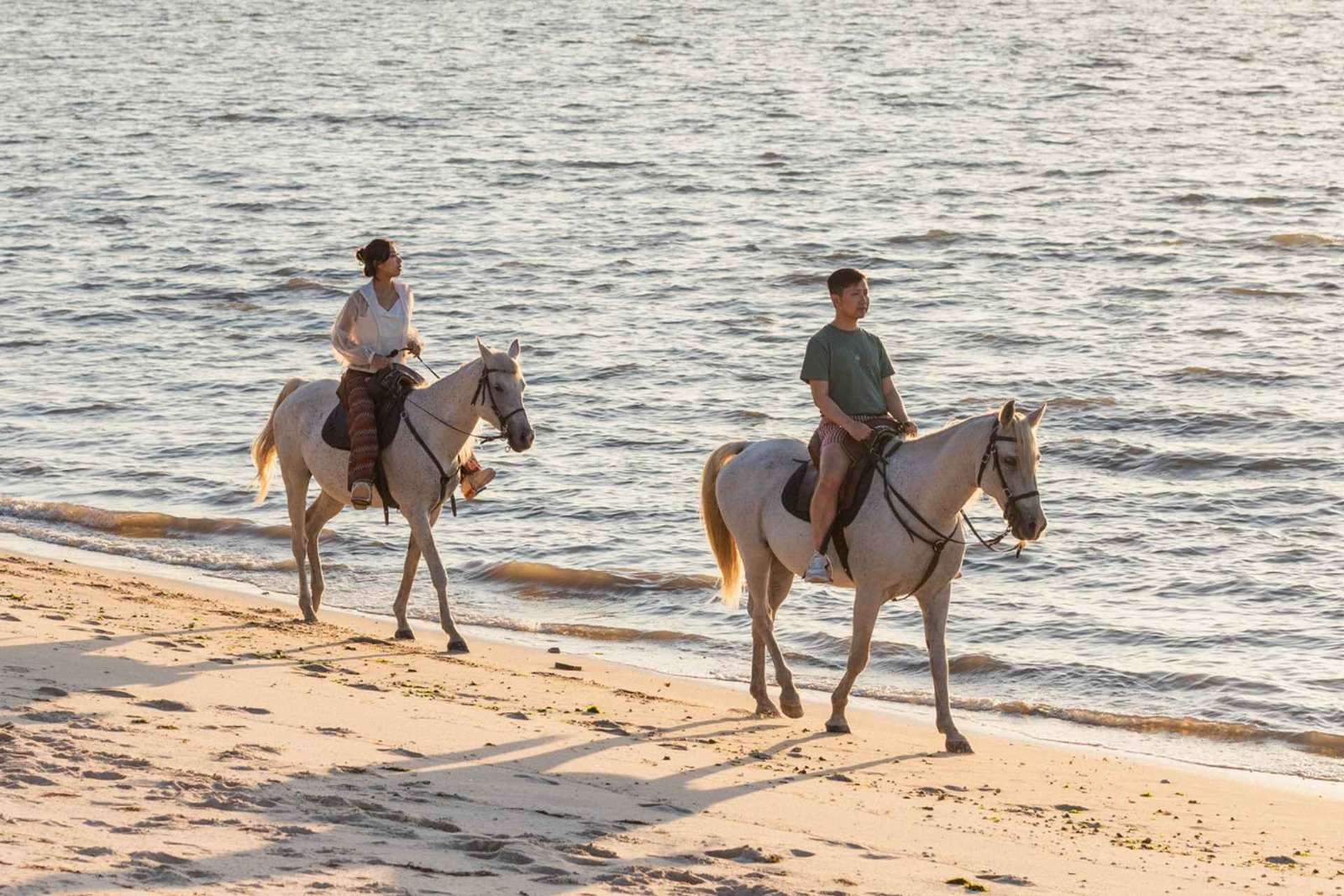 Paardrijden op het strand bij zonsondergang